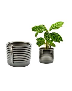 Burgon and Ball Oslo Indoor Plant Pot - Grey